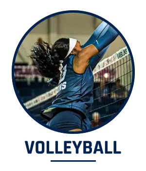 Volleyball